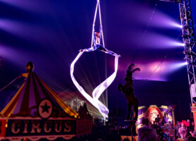 Fantastic Aerialist Party Planning Examples fantastic aerialist